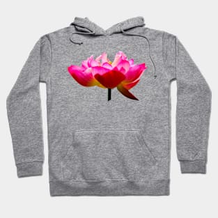 Beautiful Lotus Flower Hoodie